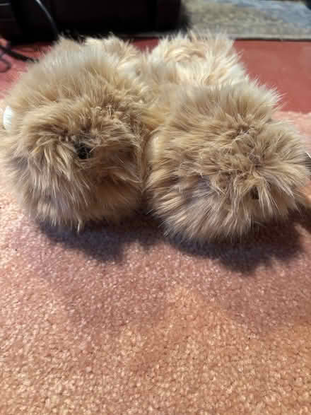 Photo of free Pottery Barn Kids Slippers (Westwood) #1