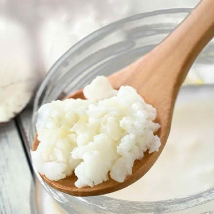Photo of Kefir grains (Brentford Gate TW8) #1