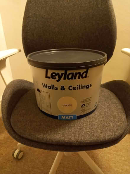 Photo of free Leyland Wall & Ceiling Paint (Magnolia) 10 Litres Matt (IP1) #1