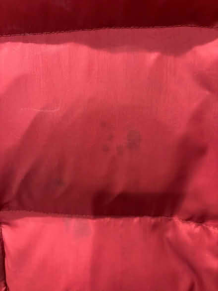 Photo of free Burberry Jacket (Westwood) #2