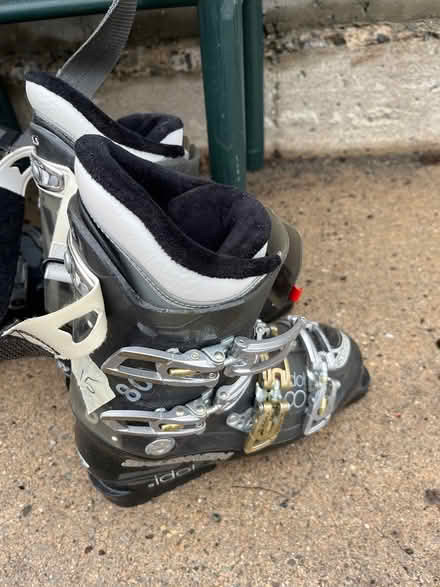 Photo of free Ski boota (Oradell) #1