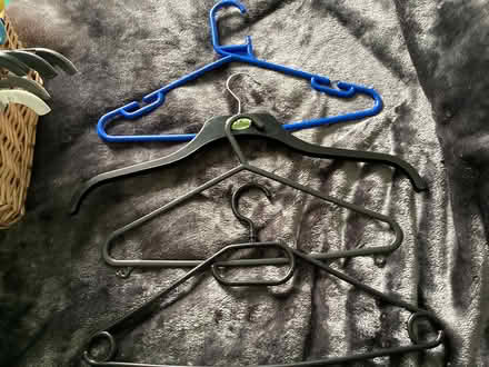 Photo of free Assortment of plastic coat hangers (Southport PR9) #2