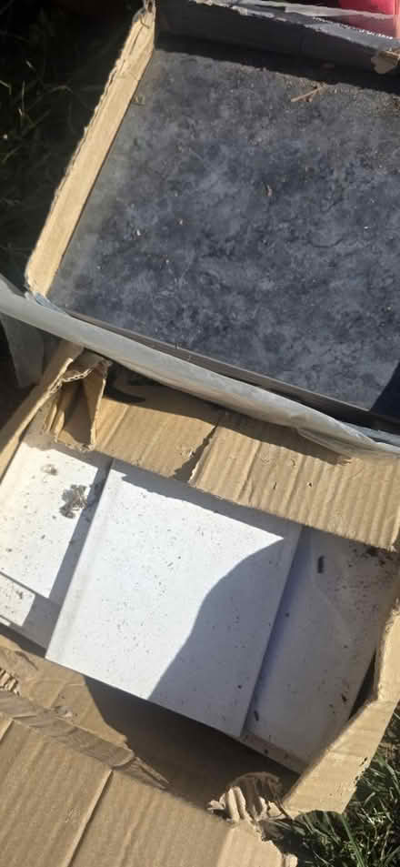 Photo of free Tiles (craigentinny) #1