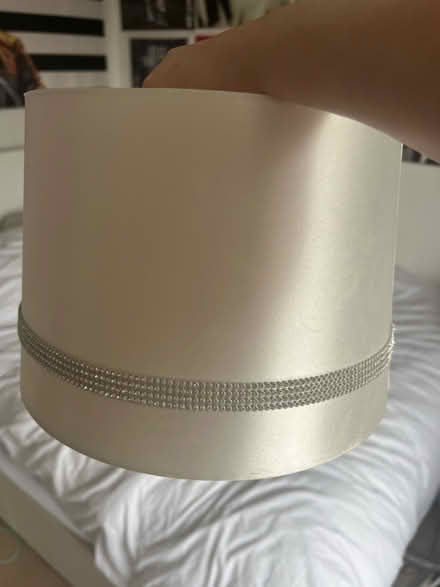 Photo of free Sparkly light shade (Southborough) #1