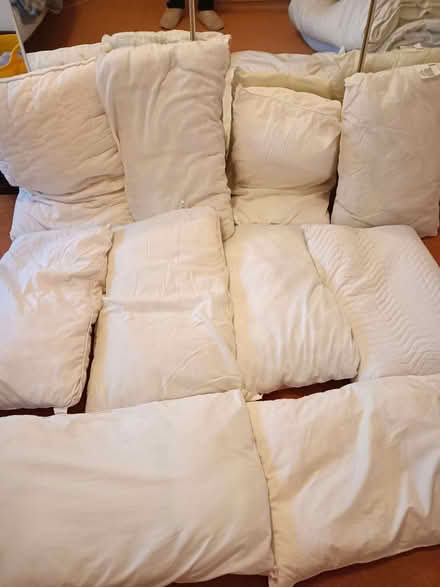 Photo of free Pillows, clean (Chalvington BN27) #1