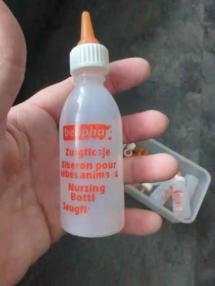 Photo of free Orphan kitten feeding bottles (Chessington KT9) #2
