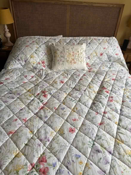 Photo of free Dorma bed spread- new (Wokingham RG40) #1