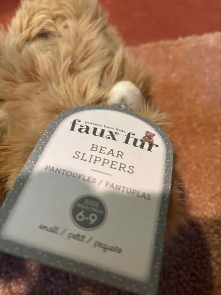 Photo of free Pottery Barn Kids Slippers (Westwood) #2