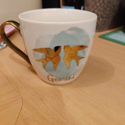 Photo of free Gemini mug (B13 Billesley) #1