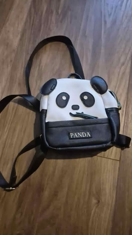 Photo of free Mini bag (Streatham SW16) #1