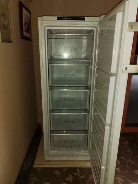 Photo of free Blomberg tall freezer (CO7) #2