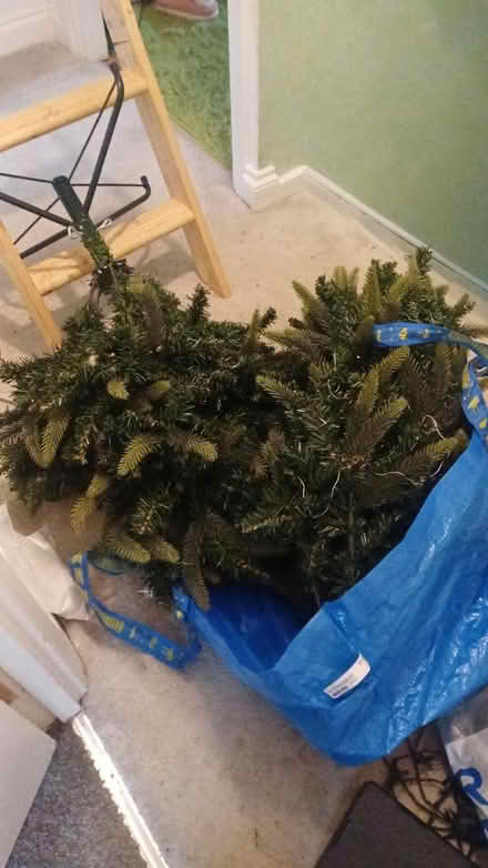 Photo of free Christmas tree (Hemel Hempstead HP1) #1