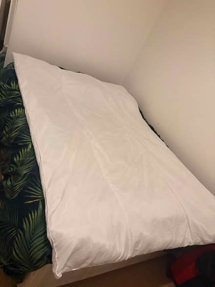 Photo of free Duvet double (SW8 1) #1