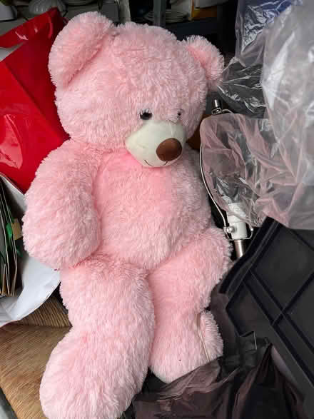 Photo of free Fluffy bear (Oradell) #1
