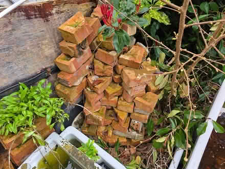 Photo of free Pile Bricks/half bricks (WR14 Malvern Link) #1
