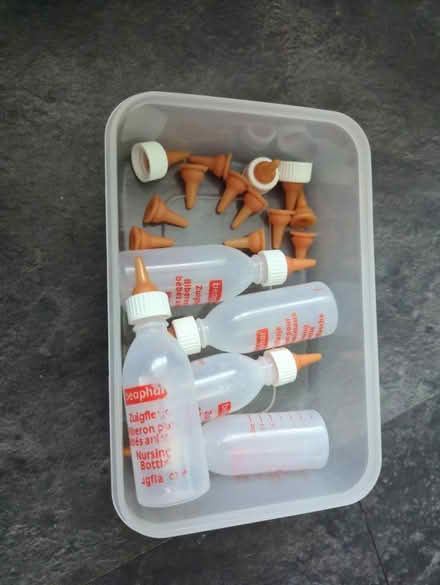 Photo of free Orphan kitten feeding bottles (Chessington KT9) #1
