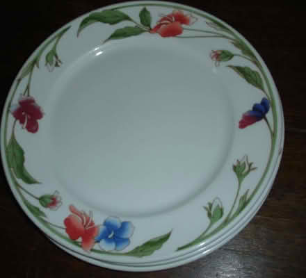 Photo of free Old china for crafting (Coleview SN3) #1