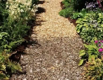 Photo of Wood chippings (Raynes Park (SW20)) #2