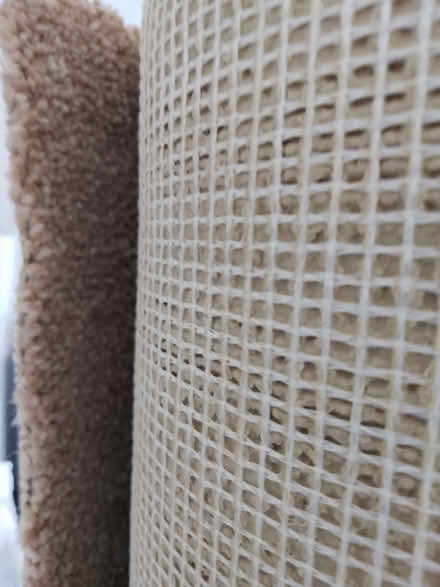 Photo of free carpet pieces (Amble NE65) #2