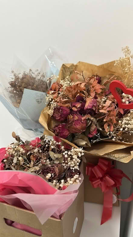 Photo of free Dead roses flowers (Carshalton SM5) #1