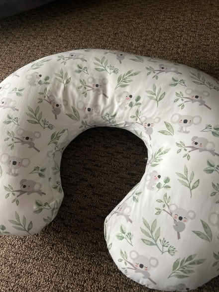 Photo of free Boppy (Glen Burnie) #1