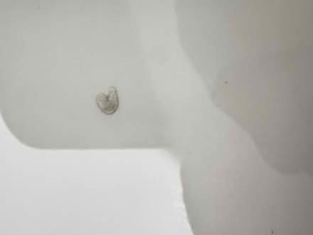 Photo of free White and wood desk (Bath) #2