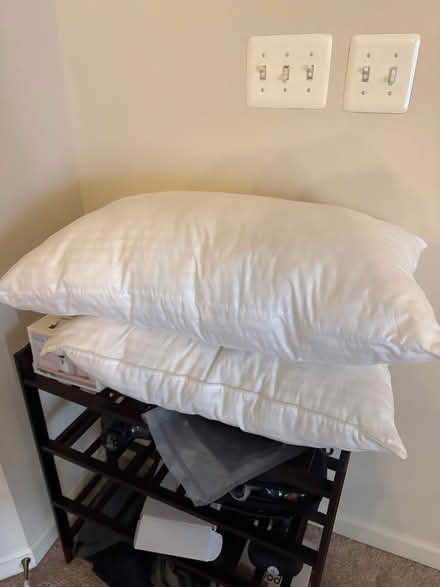 Photo of free Pillows and bed covers (North Laurel) #1