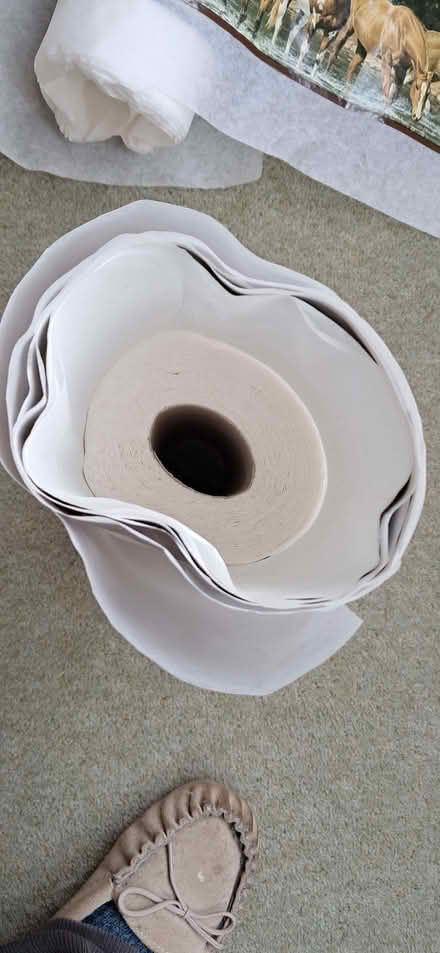 Photo of free Horses: decals and border (Allestree DE22) #2