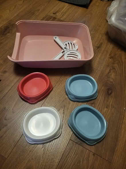 Photo of free Kitten litter tray and food bowls (Saint Luke's EC1V) #1