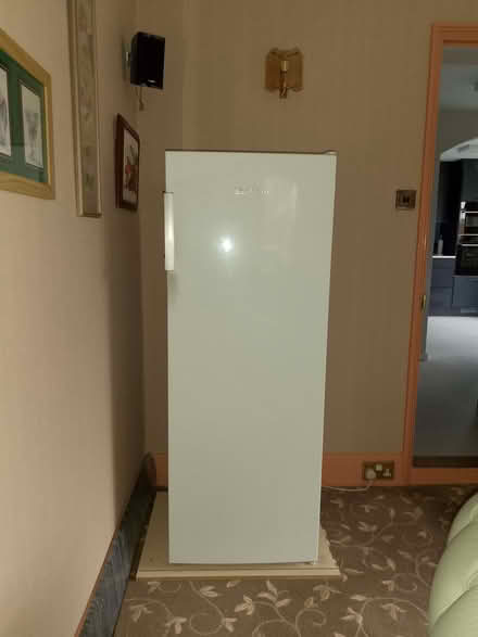 Photo of free Blomberg tall freezer (CO7) #1