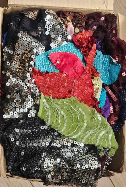 Photo of free beaded & sequined scraps (Roncesvalles) #1