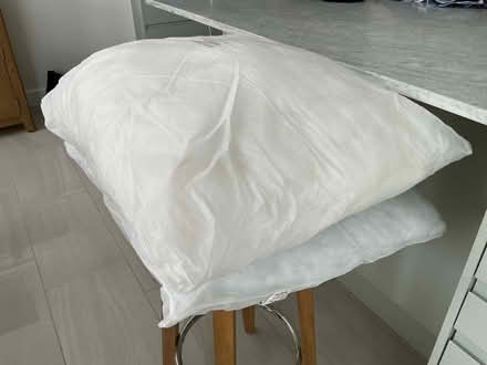 Photo of free Two Cushion Pads / Fillers (Climping BN17) #1