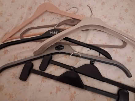 Photo of free Large number assorted coat hangers (Styvechale, Coventry) #1
