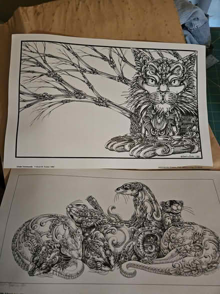 Photo of free Art: cat and ferrets prints (North Denton (288 & 2164)) #1