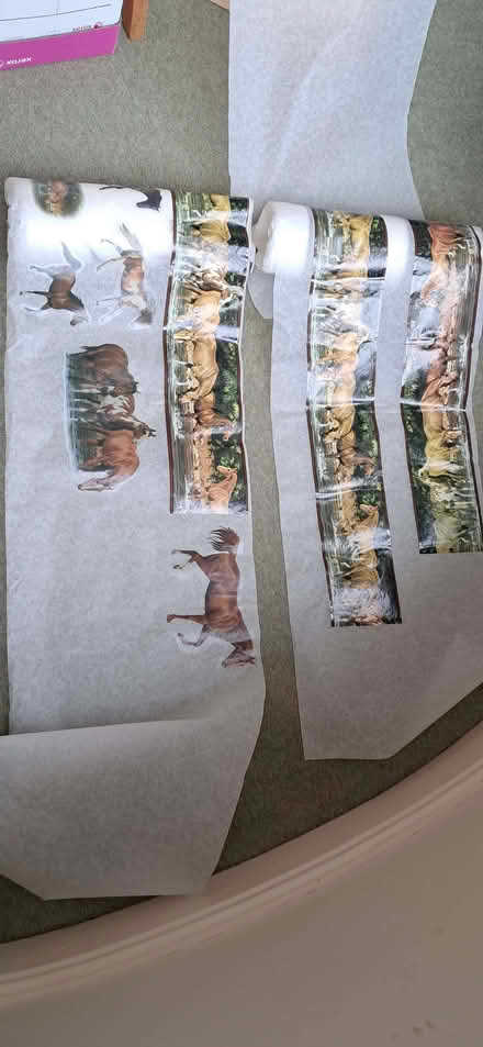 Photo of free Horses: decals and border (Allestree DE22) #1