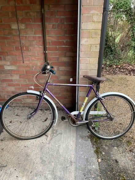Photo of free Old Raleigh Hustler bike (Bosham PO18) #1