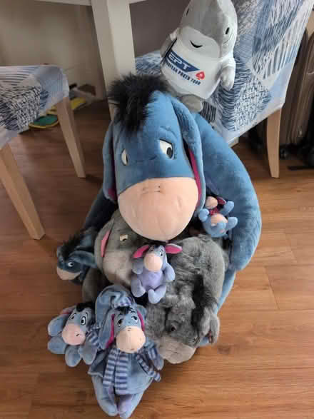 Photo of free Disney Eeory Plushie and 1 shark (Aylesford) #1