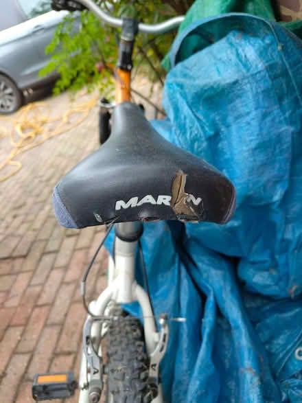 Photo of free Bicycle (Thames Ditton) #4