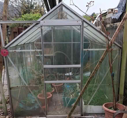 Photo of free Greenhouse (North Cardiff CF15) #1