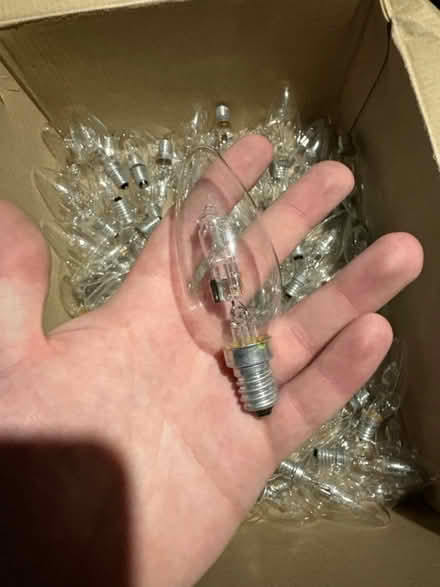 Photo of free Small Screw Bulbs (Liverpool L13) #2