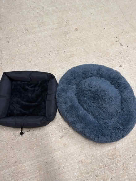 Photo of free 2 x small dog beds (car and indoor) (Elsenham CM22) #1