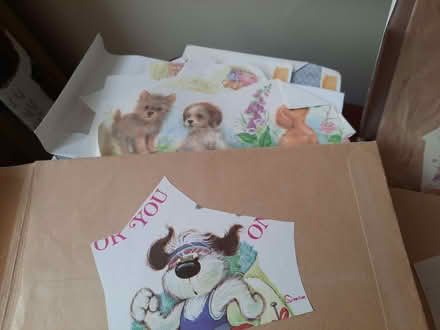 Photo of free Loads of paper images (Hollingdean BN1) #1