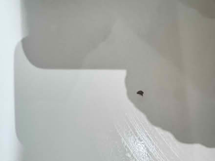 Photo of free White and wood desk (Bath) #3