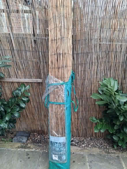 Photo of free Reed fencing (Wollaton ng8) #2