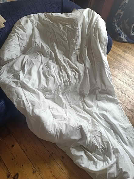 Photo of free Single duvet (East Finchley N2) #1
