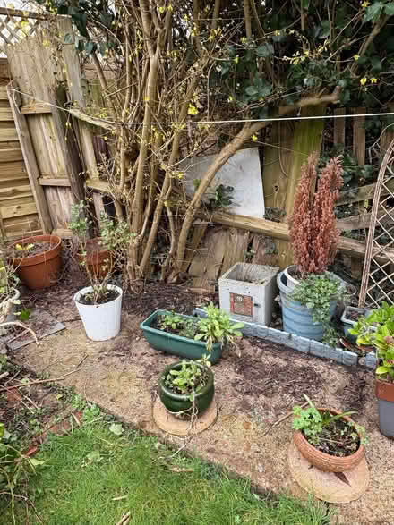 Photo of free Garden pots (Royal Leamington Spa CV31) #1