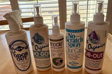 Photo of free Cat products (Downtown Sunnyvale) #1