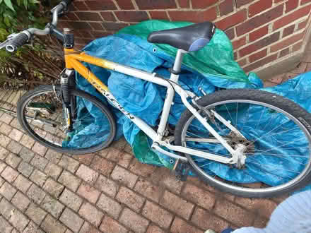 Photo of free Bicycle (Thames Ditton) #3