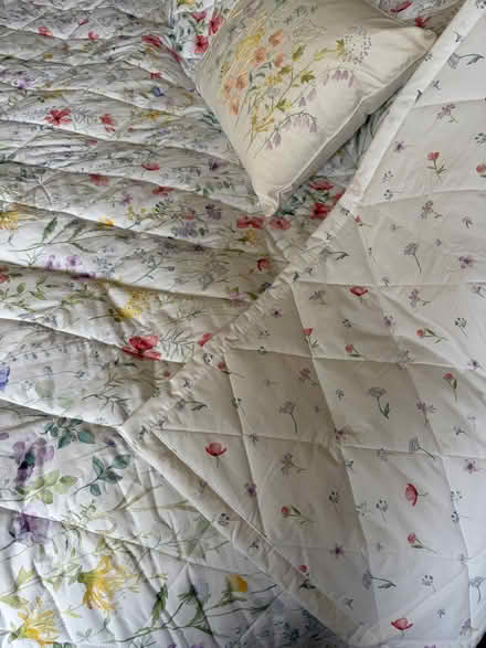 Photo of free Dorma bed spread- new (Wokingham RG40) #3