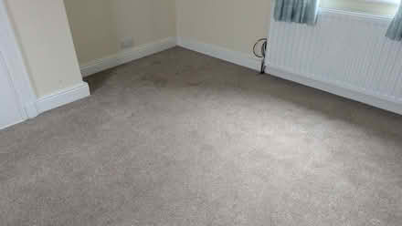 Photo of free Beige Carpet (Wrekenton NE9) #2